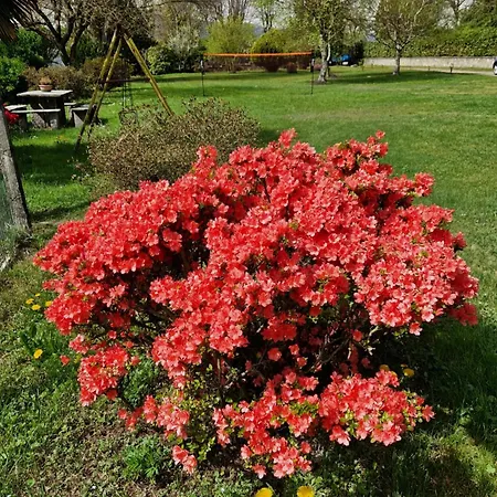 L'oasi Amena شقة أمينو